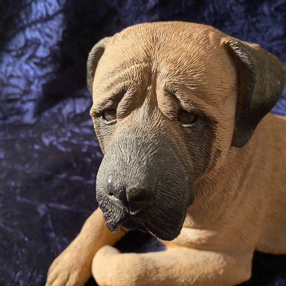 SANDICAST original Mastiff sculpture hand cast & hand painted in San Diego, CA - Picture 2 of 6